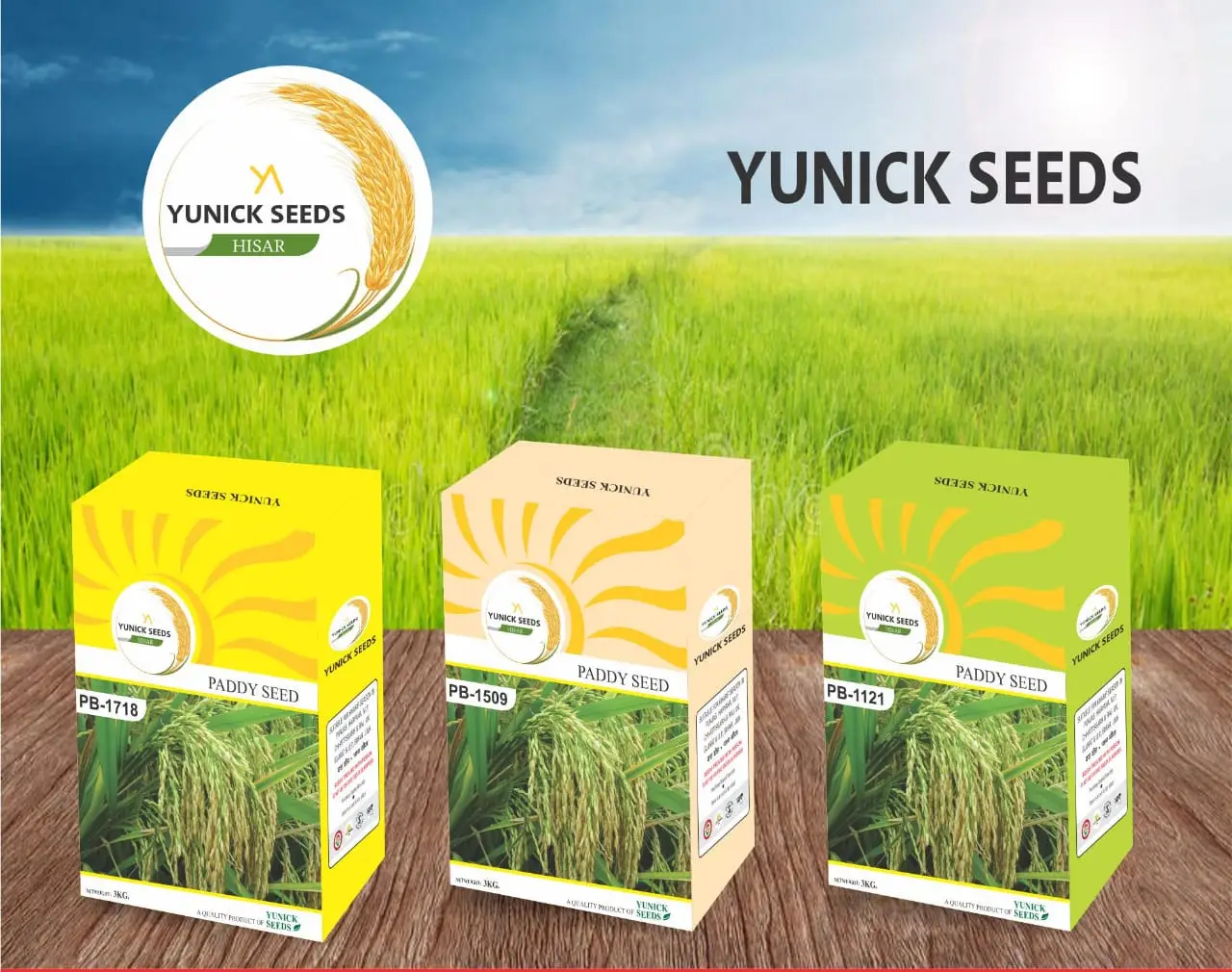 Yunick Seeds paddy seed boxes PB-1718, PB-1509 and PB-1121 in a green field