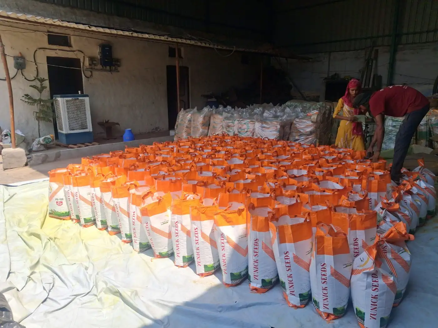 Bags of Yunick Seeds paddy seed packed at the Dabra plant