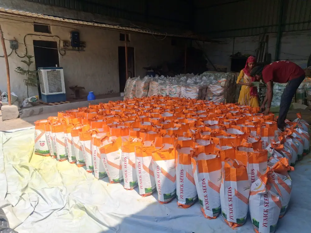 Stacked bags of Yunick Seeds paddy seed inside the Dabra processing plant