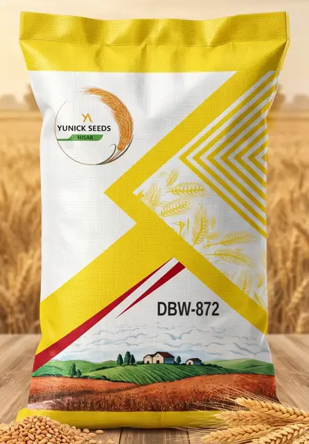 Yunick Seeds wheat DBW-872 bag