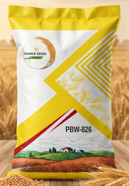 Yunick Seeds wheat PBW-826 bag